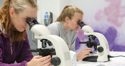 Applications open for new BSAVA Research Fellowship